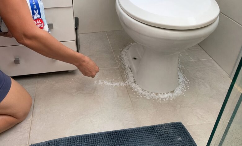 O segredo do sal grosso: como ele pode auxiliar na umidade ao redor do vaso sanitário