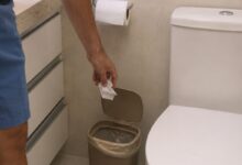 Papel higiênico para frente ou para trás: entenda a recomendação oficial e histórica