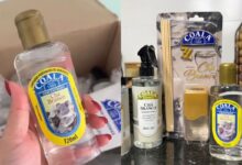 Para roupa cheirosa por dias, lavanderias indicam limpador perfumado na máquina de lavar