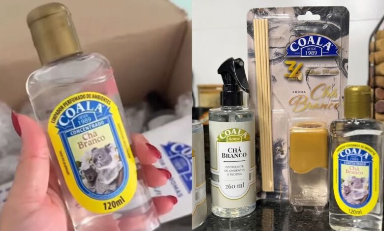 Para roupa cheirosa por dias, lavanderias indicam limpador perfumado na máquina de lavar