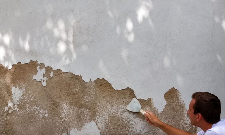 Parede descascando: o guia definitivo para eliminar bolhas e infiltrações