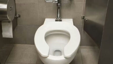 Por que assentos de banheiros públicos possuem aquela abertura frontal