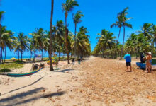 Porto de Galinhas consolida-se como destino paradisíaco próximo a Recife