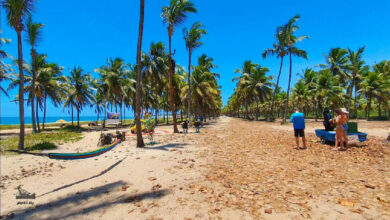Porto de Galinhas consolida-se como destino paradisíaco próximo a Recife