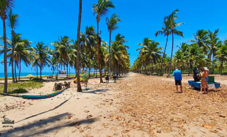 Porto de Galinhas consolida-se como destino paradisíaco próximo a Recife