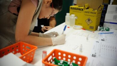 Raio-x das hepatites virais: estudo detalha panorama de 11 anos da doença no Brasil