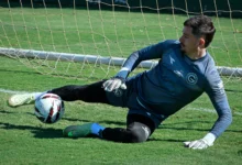 Recuperados de lesões, Tadeu e Wellington Rato reforçam o Goiás contra o Criciúma