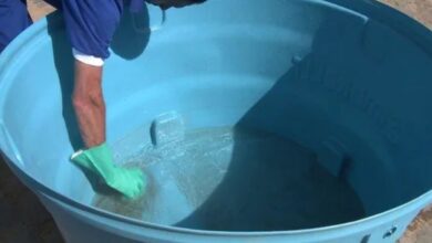 Saiba a frequência correta para limpar a caixa d'água e evitar riscos à saúde