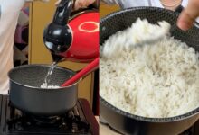 Segredos do arroz soltinho: entenda o impacto da temperatura da água no preparo