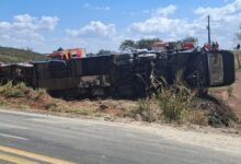 Tragédia na Go-010: acidente entre ônibus e caminhão deixa cinco mortos em Goiás
