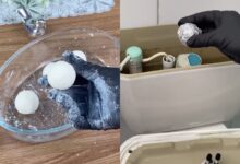 Truque caseiro promete perfumar o banheiro com bolinhas de limpeza