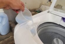 Truque doméstico: entenda o uso de amaciante com álcool para perfumar a casa