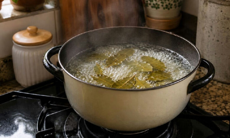 Vinagre e louro na limpeza: entenda por que ferver os ingredientes é um erro comum