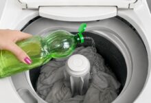 Vinagre na lavagem de roupas: entenda a utilidade real do produto na máquina