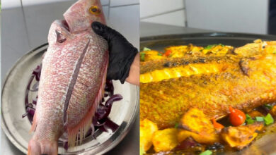 Pargo assado: por que este peixe supera a tilápia e a tainha no forno