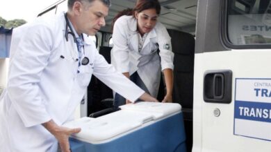 a transplante da membrana amniótica para tratar diabetes. Programa de saúde do g