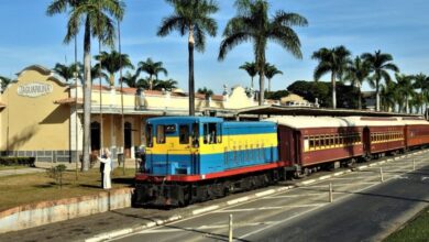 Descubra os 20 melhores passeios de trem que encantam turistas pelo Brasil