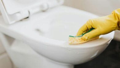 Limpeza do vaso sanitário: o truque da água quente e os cuidados essenciais para evitar danos