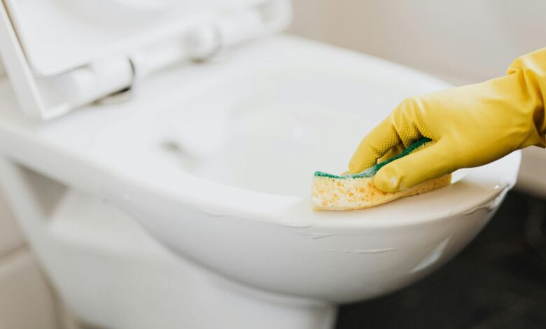 Limpeza do vaso sanitário: o truque da água quente e os cuidados essenciais para evitar danos