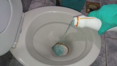 Solução caseira simples para deixar o vaso sanitário perfumado antes de receber visitas