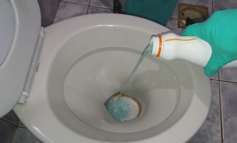Solução caseira simples para deixar o vaso sanitário perfumado antes de receber visitas