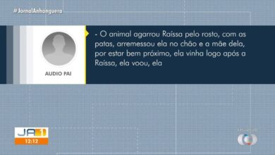 Ataque de animal contra criança e mãe gera comoção em relato exclusivo