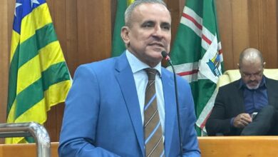 Goiânia discute nova política municipal para proteção e bem-estar animal