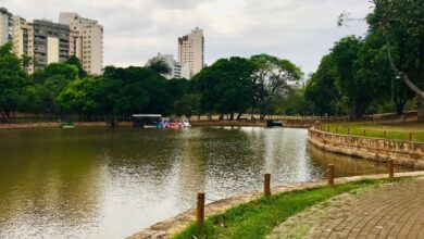 Revitalização do Lago das Rosas em Goiânia prevê corte de árvores e investimento milionário