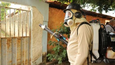 Câmara de Goiânia derruba veto e endurece regras para limpeza de terrenos contra dengue
