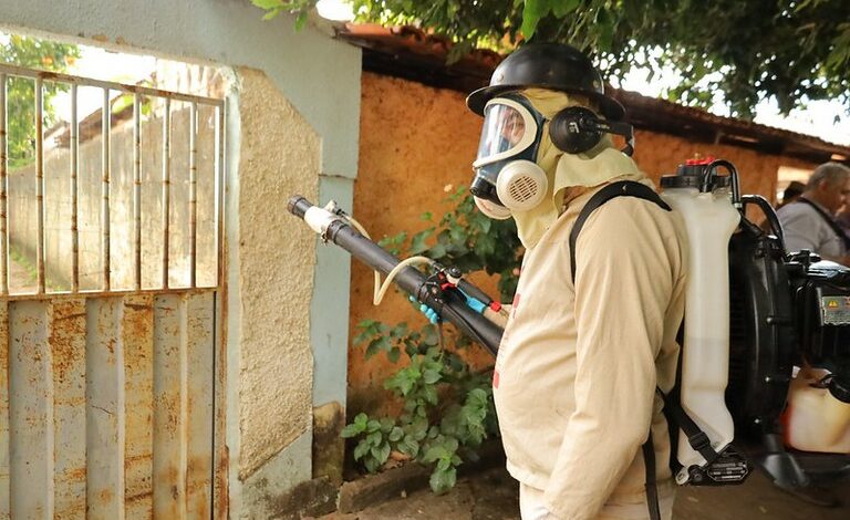 Câmara de Goiânia derruba veto e endurece regras para limpeza de terrenos contra dengue