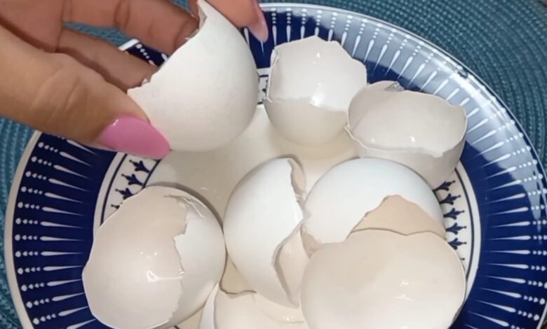 Cascas de ovo e óleo: a mistura caseira que viralizou e transforma plantas e móveis