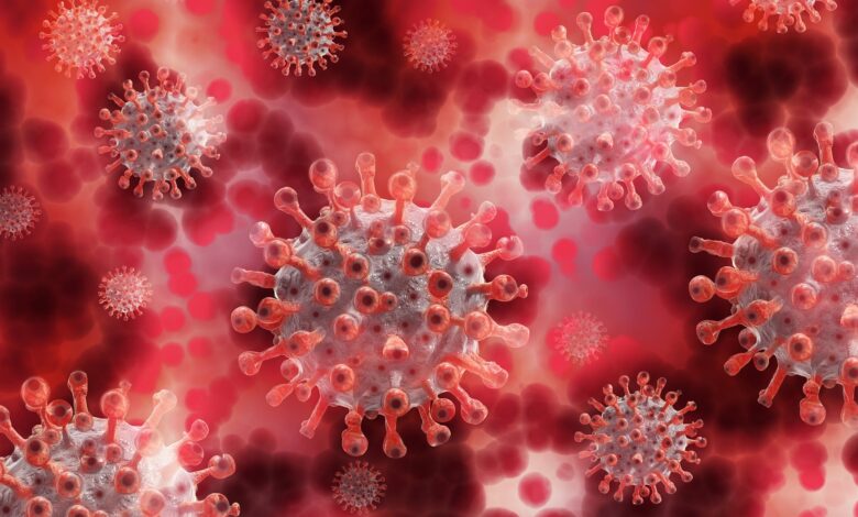 Canadá registra primeiro caso de hantavírus conectado a surto em cruzeiro que já soma 12 infecções