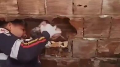 Resgate comovente: bebê é salvo após ser abandonado entre muros na Paraíba