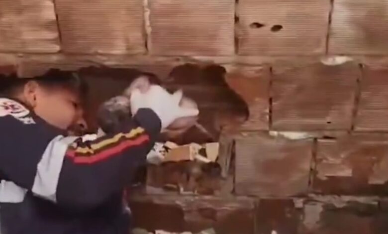 Resgate comovente: bebê é salvo após ser abandonado entre muros na Paraíba