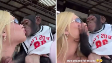 Virginia Fonseca rebate acusações de racismo após vídeo com macaco em Dubai