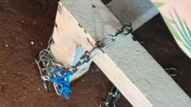 Filho acorrentado e torturado pela mãe em Goiás: detalhes chocantes da investigação