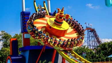 Parque Beto Carrero World adota jornada 4x2 e impulsiona produtividade e faturamento