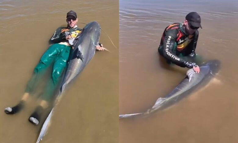 Piraíba gigante de quase dois metros é capturada no Rio Araguaia e devolvida à natureza