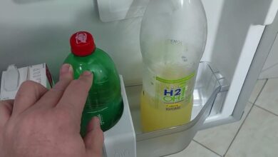 Truque simples na geladeira promete manter refrigerante gaseificado por mais tempo