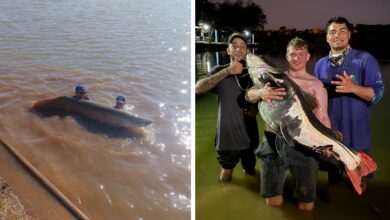 Pescador goiano de 18 anos impressiona com capturas de mais de 100 kg e revela segredos dos rios