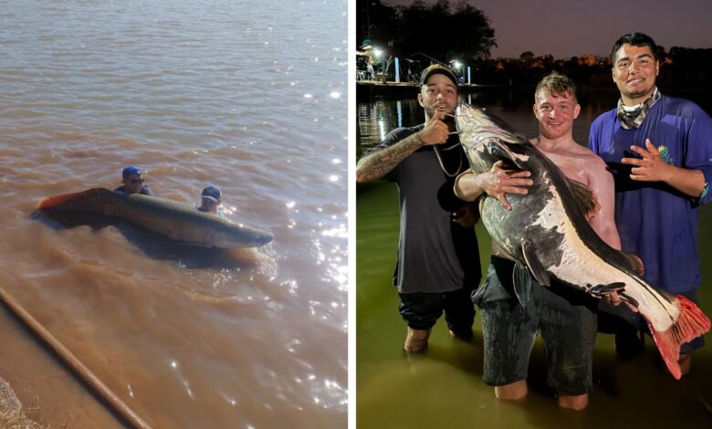 Pescador goiano de 18 anos impressiona com capturas de mais de 100 kg e revela segredos dos rios