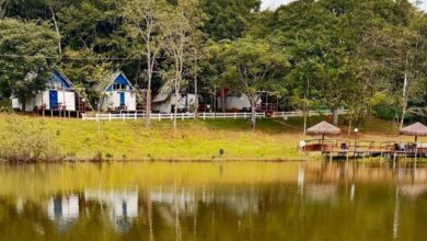 Turismo em Goiás: a ascensão dos chalés instagramáveis que unem luxo e natureza