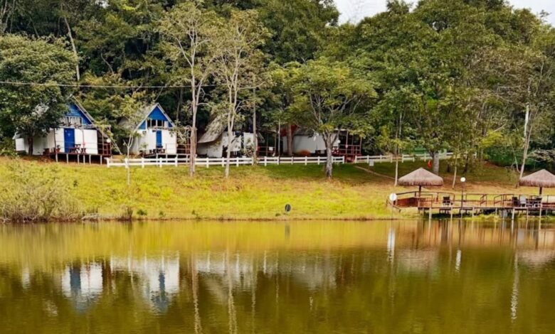Turismo em Goiás: a ascensão dos chalés instagramáveis que unem luxo e natureza