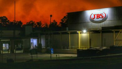 Vagas JBS Goiás: gigante do setor abre mais de 200 oportunidades de emprego