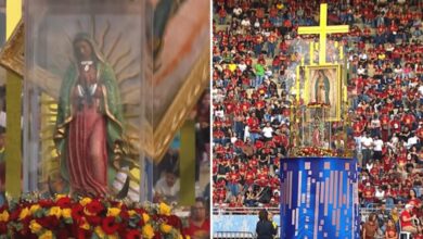 Imagem de Nossa Senhora de Guadalupe cai de 5 metros e permanece intacta em Goiânia