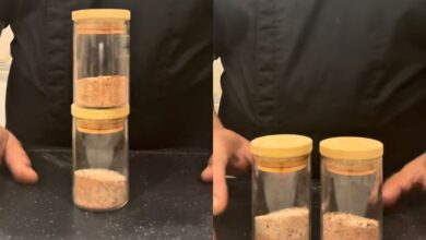 Temperos essenciais: chefs revelam segredos para carnes mais saborosas