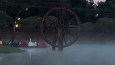Goiás registra 8 ºC e atinge a menor temperatura do ano