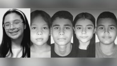 Irregularidade no transporte escolar: van sem autorização causa tragédia com cinco mortos em Goiás