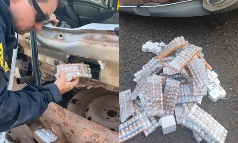 Apreensão recorde em Goiás: PRF encontra 2 mil ampolas de canetas emagrecedoras em carro
