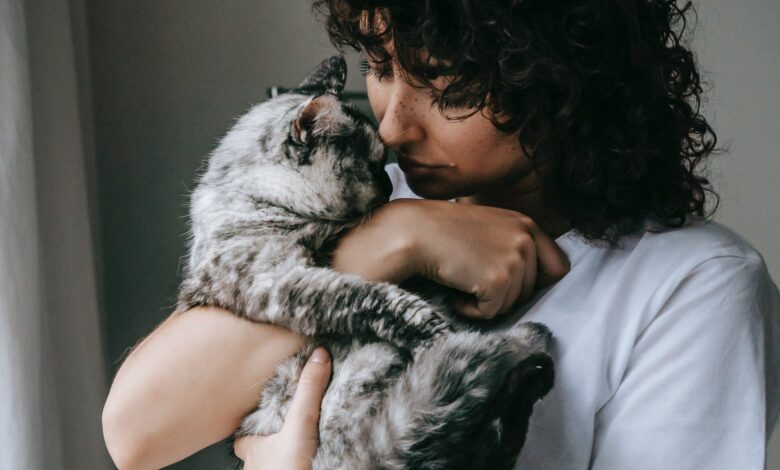 Comportamento felino: por que gatos amassam os donos com as patas e o que isso revela